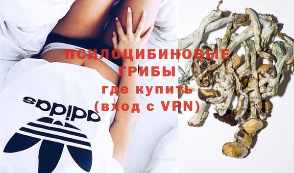 бошки Арсеньев